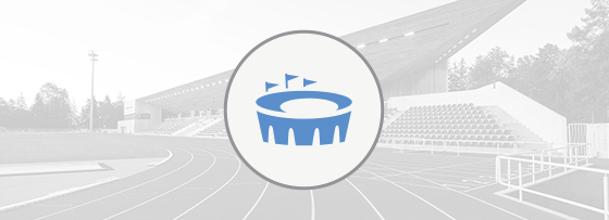 Резервирование электроснабжения спортивных объектов Резервирование электроснабжения спортивных объектов фото